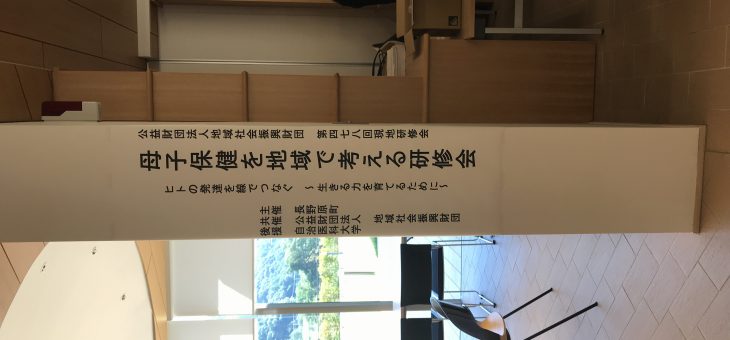 母子保健を地域で考える研修会 ヒトの発達を線でつなぐ〜生きる力を育てるために〜